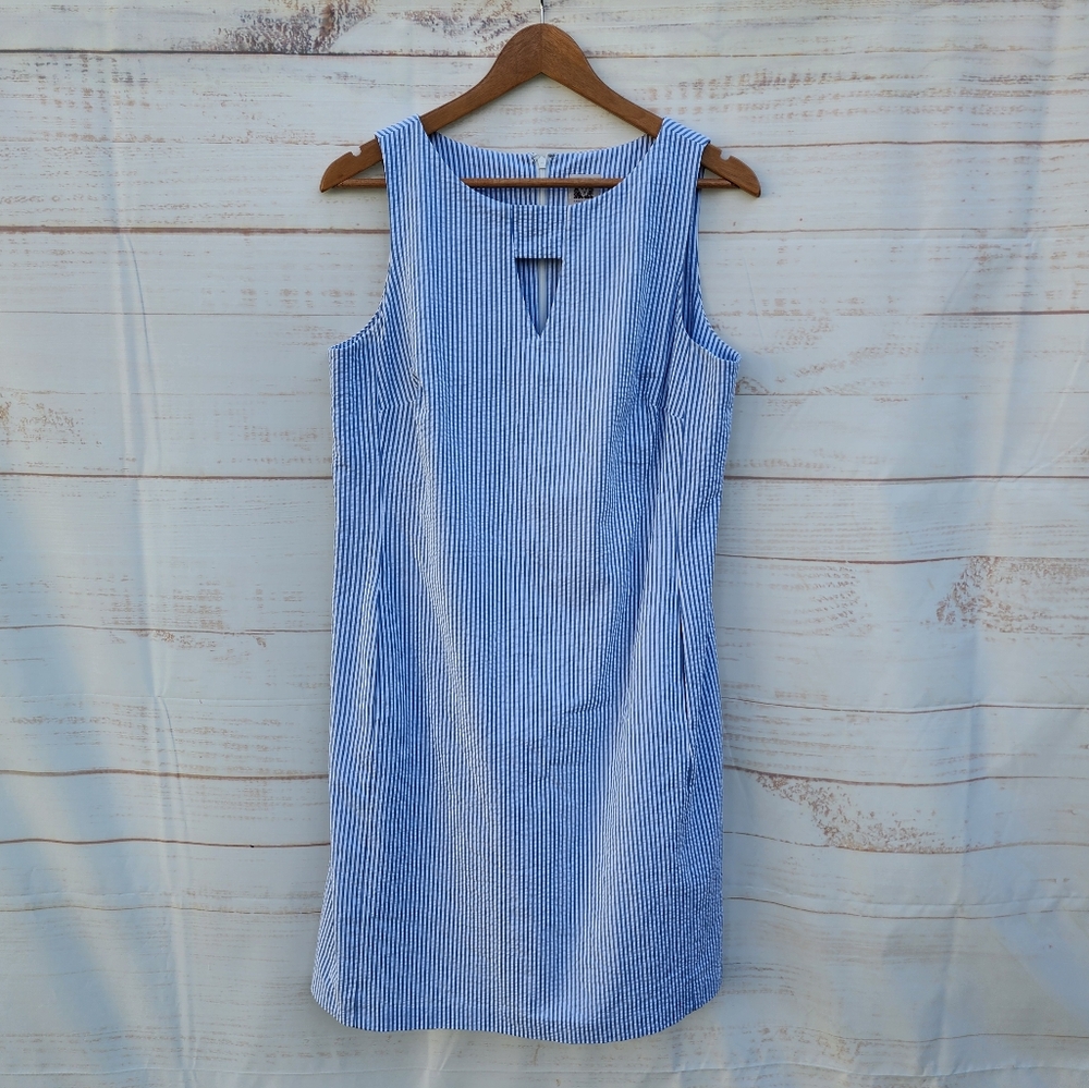 Anne Klein Blue Striped Dress